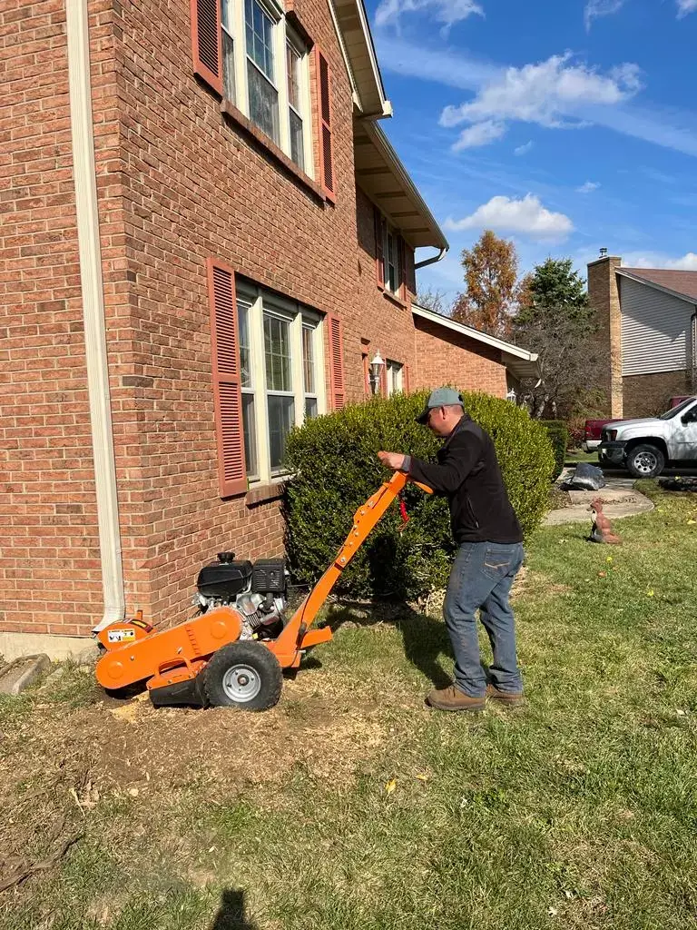 Stump Removal & Grinding Services - WAI Lawn & Landscape